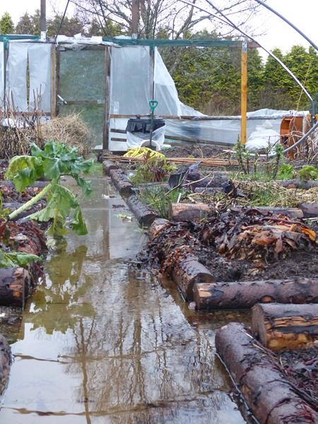 Lorn Organic Growers flooded polytunnel Jan 2016