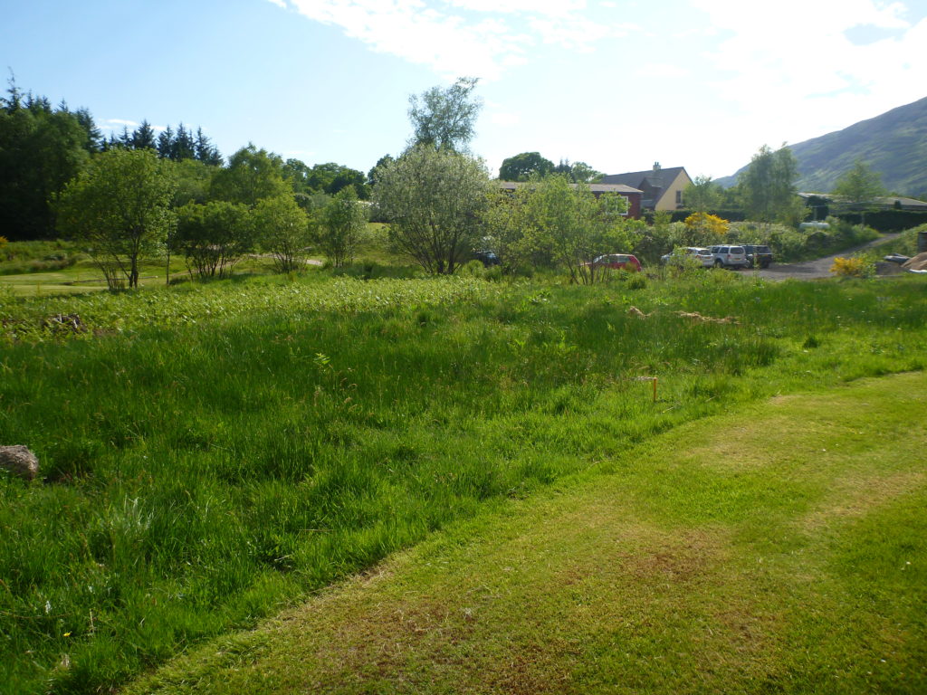 Dalmally Golf Club
