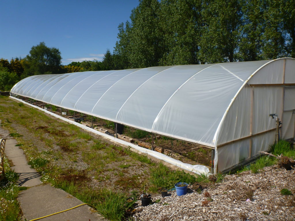 Lorn Organic Growers After a June 2016