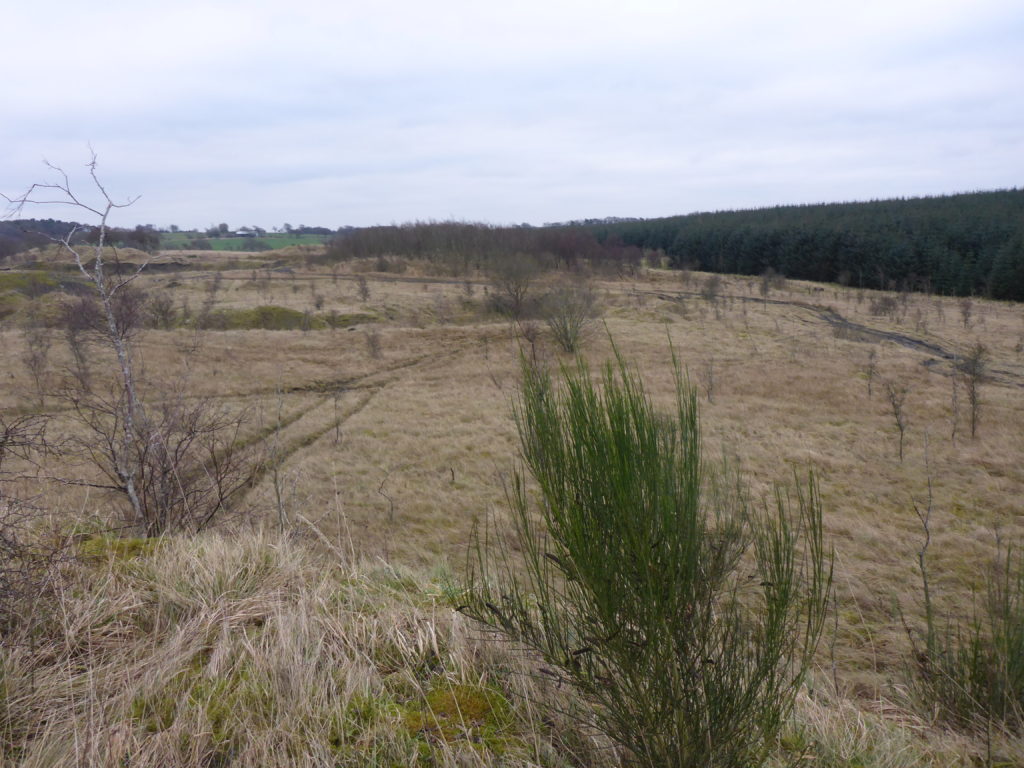 Drumduff Wind Farm